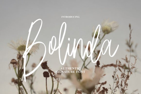Bolinda: Crafting Elegance in Every Stroke